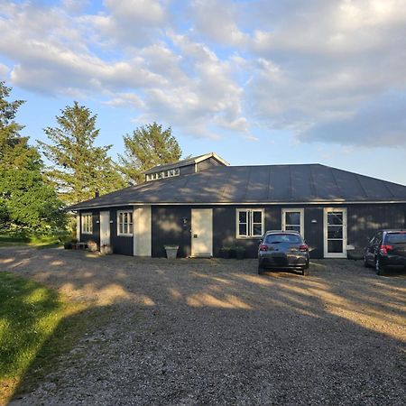 Guesthouse Tradsborgvej Tjareborg Exteriér fotografie