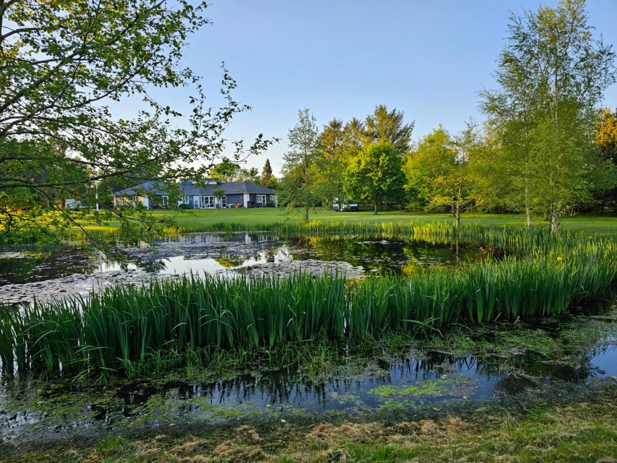 Guesthouse Tradsborgvej Tjareborg Exteriér fotografie
